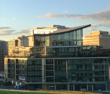 The Pearl Apartments — 801 Penthouse - Photo 3