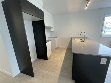 842-203 rue Lamarche, Sherbrooke, J1H 0M9 4½ (Décembre 2025) - Photo 2