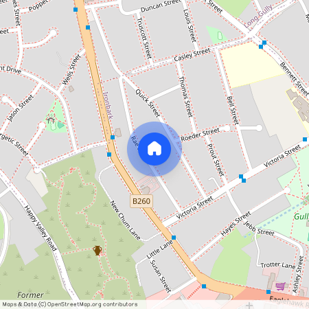 16 Rae Street, Ironbark