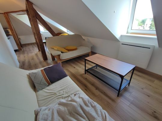 Location Appartement 3 pièces 48m² MULHOUSE 68200 - Photo 1