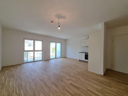 Perfekter Schnitt - Wohnen im Grünen - Großzügige Terrasse - Photo 5