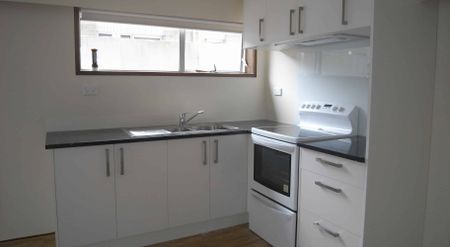 3 bedroom unit with 1 bathroom - Photo 3