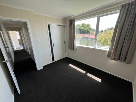 Spacious 4-Bedroom Family Home in Pukehangi - Photo 4