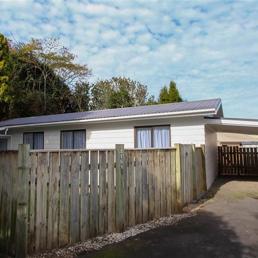 116A, MacFarlane Street, Hamilton, 3216, Hamilton East - Photo 1