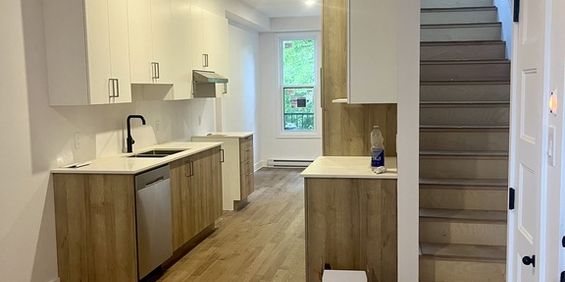 4½ Avec Terrasse - Metro Joliette - Photo 3
