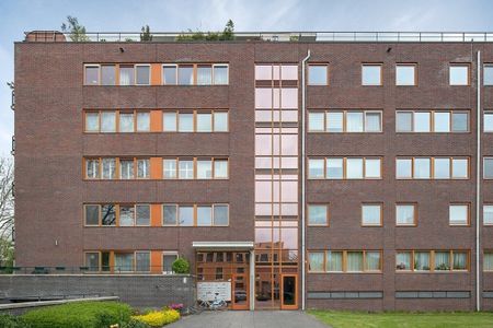 Aalscholverstraat - Photo 4