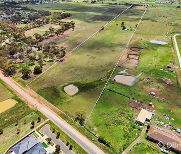 Farm Land for Lease.... - Photo 4