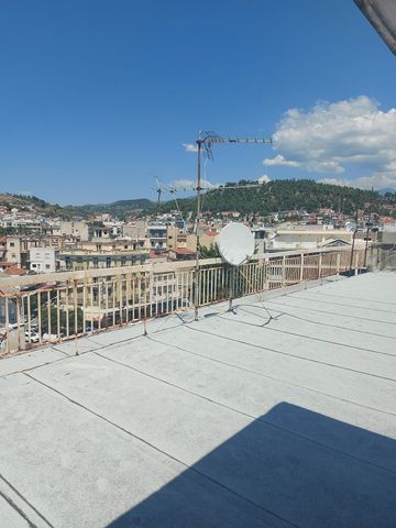 Studio/Γκαρσονιέρα για ενοικίαση Τίμιου Σταυρού (Σέρρες) - Φωτογραφία 2