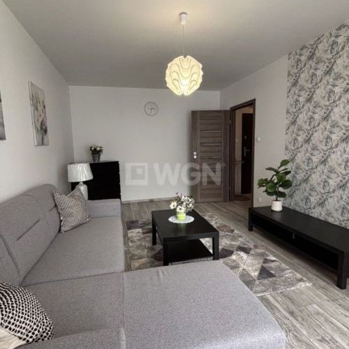Mieszkanie na wynajem szczecin - Apartament 2 pokoje z miejscem postojowym - Photo 1
