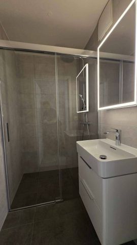 Grand appartement de 4.5 pièces à louer - Photo 4