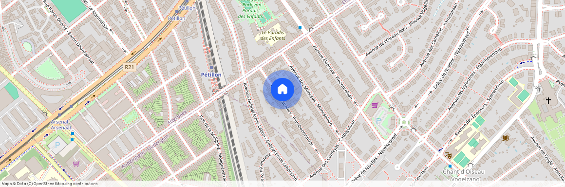 Rue des Palmiers - Palmboomstraat 29, 1150 Woluwe-Saint-Pierre - Sint-Pieters-Woluwe, Belgium