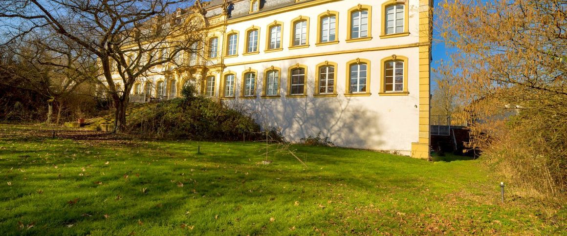 Große, exklusive barrierefreie Schlosswohnung mit modernen Einbauküchen, großem eigenem Garten, mehreren Tageslichtbädern und Park! - Photo 1