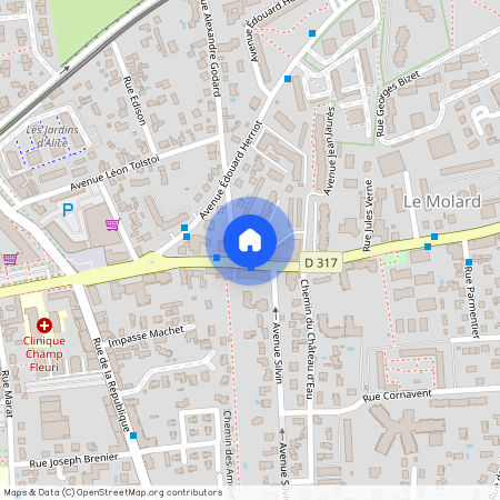 249 avenue Jean Jaurès, DECINES CHARPIEU, 69150