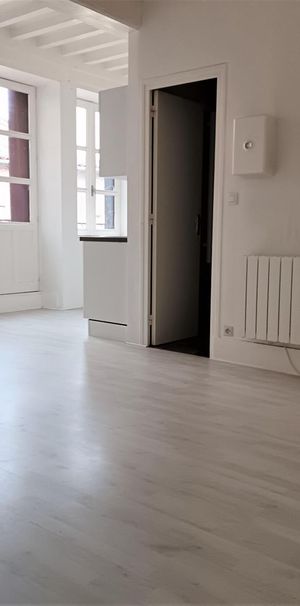 Location Appartement 2 pièces 37m² TOURNUS 71700 - Photo 1