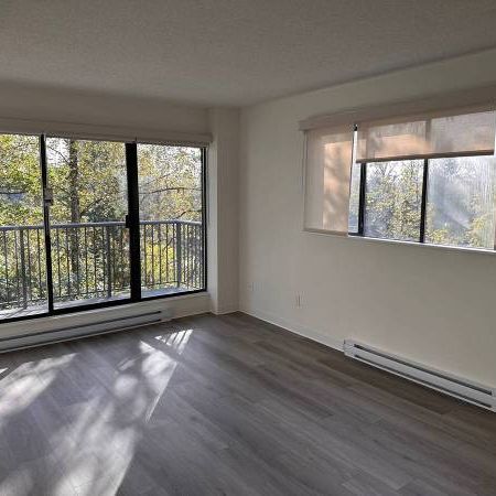 1-Bedroom Fully Renovated close to SkyTrain (Lougheed) - Photo 3