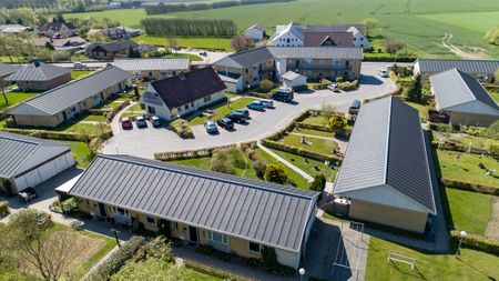 Gråbølle - Photo 5