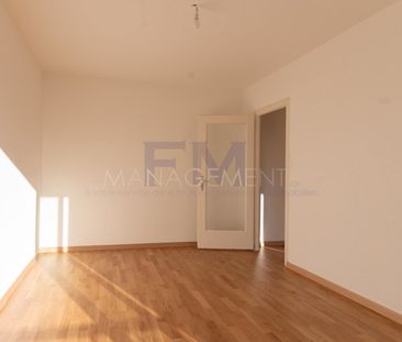 3 Zimmer, 41 m², 1. Stock - Photo 5