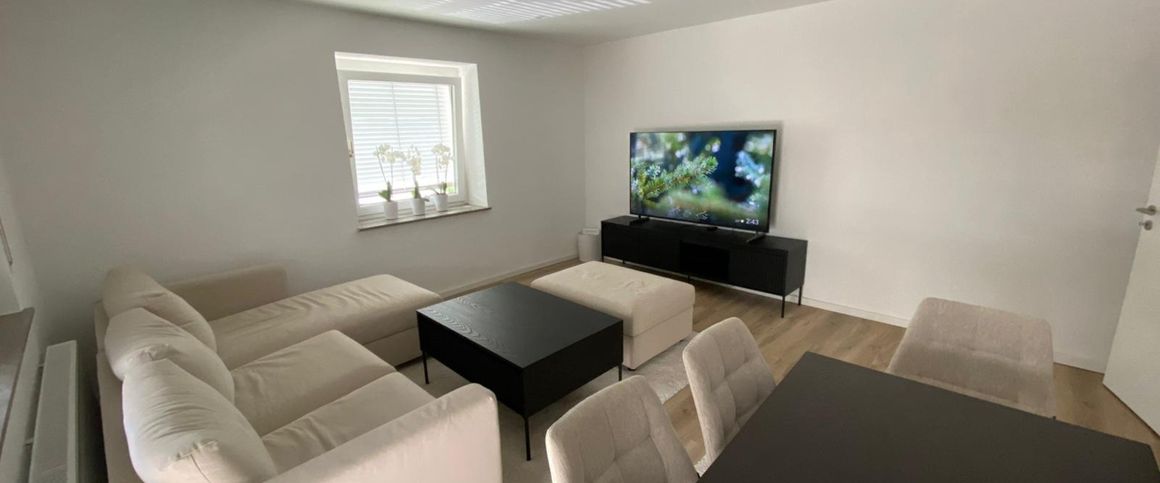 3-Zimmerwohnung mit Wlan, TV, Küche, Dusche/WC, Waschmaschine, Trockner, Balkon und Garage - Photo 1