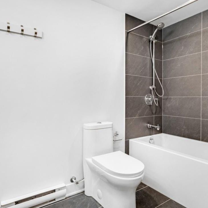 Appartement à louer - Montréal (Le Plateau-Mont-Royal) (Le Plateau-Mont-Royal) - Photo 1