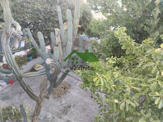 Διαμέρισμα για ενοικίαση Σπάτα - Photo 1