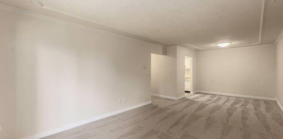 Renovated 1 Bedroom Suite - January 1st, 2025 - Photo 2