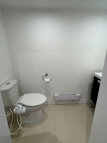 For Lease - 5669 Ethan Drive Unit# Basement, Mississauga, Ontario - Photo 4