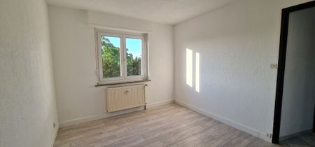 Location Appartement 3 pièces 70m² ST LOUIS 68300 - Photo 3