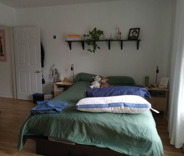 3 1/2 Près du Parc Maisonneuve et HMR - Photo 1