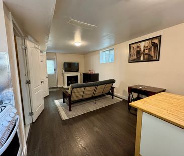 23619 Dewdney Trunk Road - Basement Suite - Photo 2