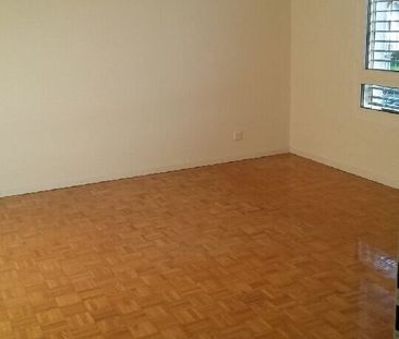 Charmant grand 2.5 pièces dans un quartier tranquille - Foto 2