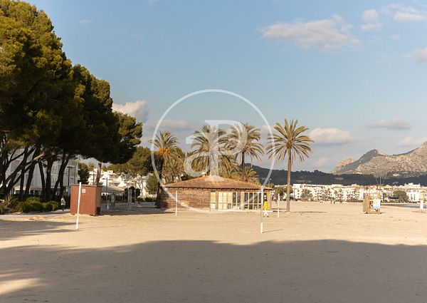 Flat for rent in Alcudia Beach