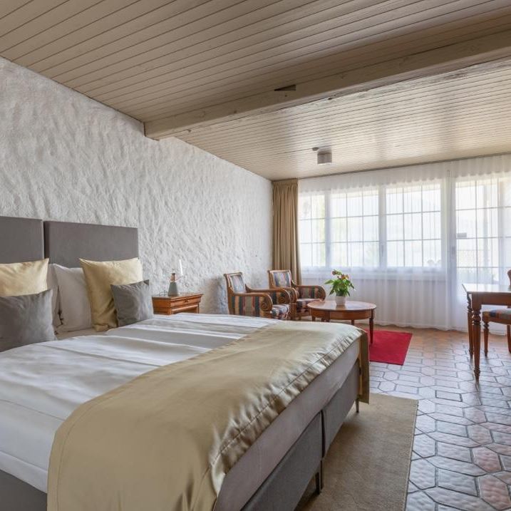 1 Zimmer im Schloss-Hotel**** / Wohnen auf Zeit - Photo 1