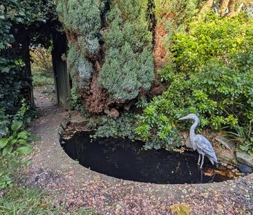 Chobham Road, Woking, Surrey, GU21 - Photo 5