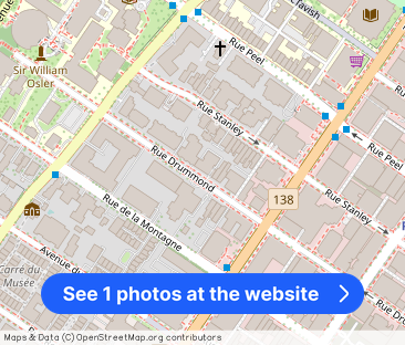 2 CH - 1 SDB - Montréal - $1,600 /mo - Photo 1