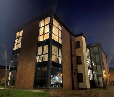 23 Horizon Mews, Newtownabbey, BT36 6FJ - Photo 5