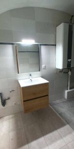 Location appartement chambre 2 pièces 29 m² à Mende (48000) - Photo 3