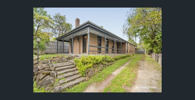 PERFECT FAMILY LIVING IN PRIME RINGWOOD POCKET - Photo 1