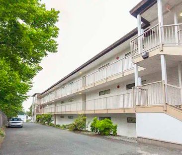Mayfair Manor Apartments — 1 Bedroom available at 827 Selkirk Avenu... - Photo 3