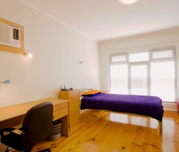 NCH4 X Large - Photo 3