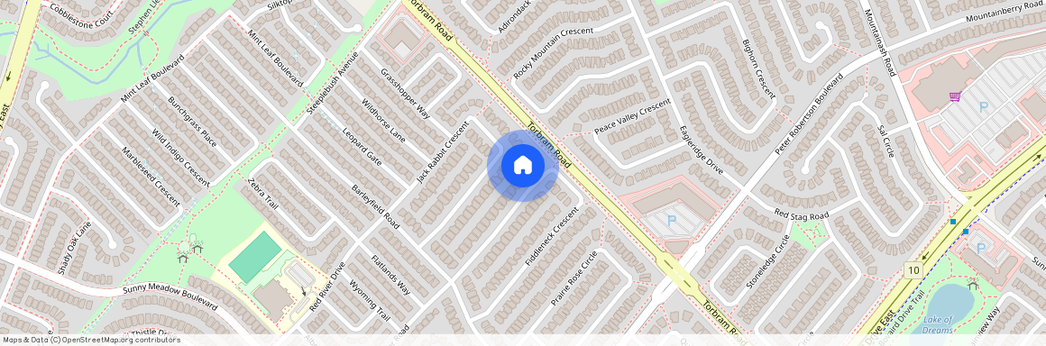 71 Fiddleneck Crescent, Brampton