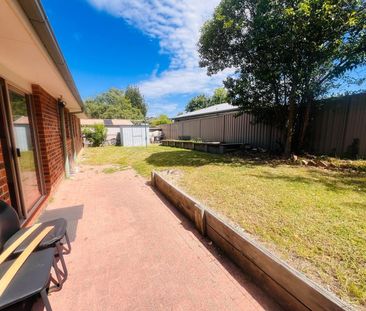 4 McHale Place, Gordon ACT 2906 - House For Rent | Domain - Photo 6