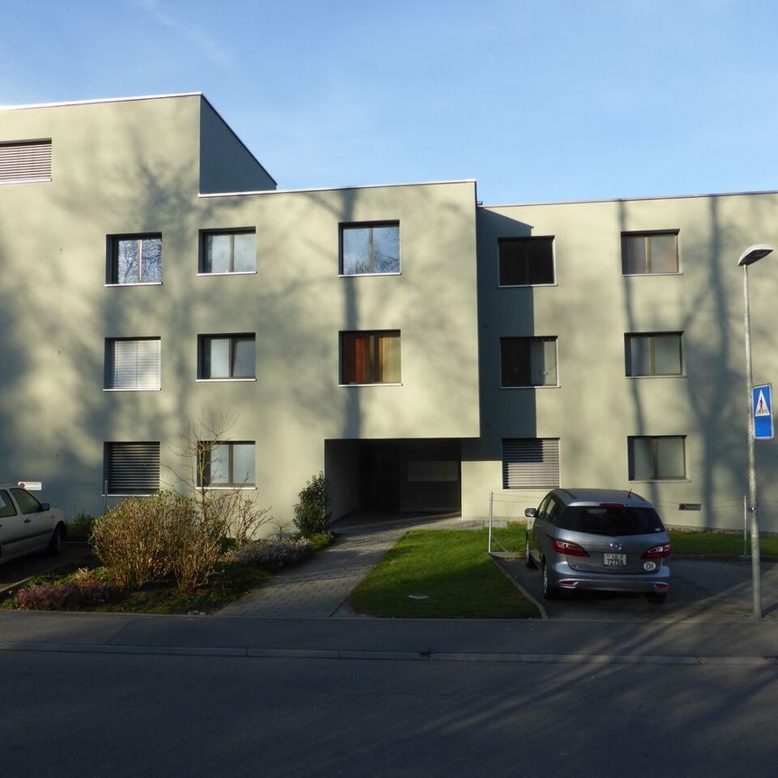 Junkerstrasse 11, CH-6280, Hochdorf, Hochdorf, - Photo 1