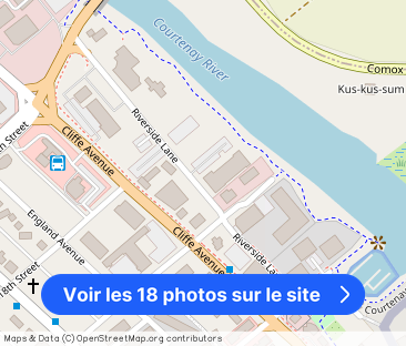 The Shores I & II - Photo 1