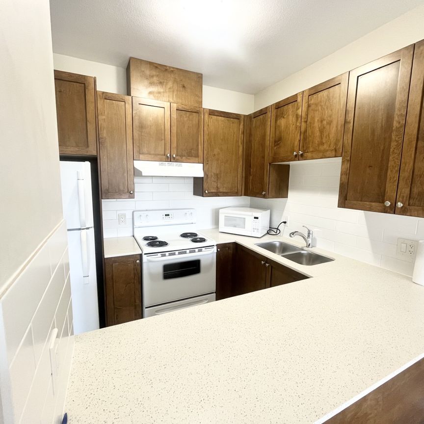 Centrally Located One Bedroom with Parking and Storage near Skytrain - Photo 1