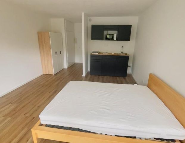 Möbliertes 1 Zimmer Apartment, frisch renoviert mit neuer EBK - Foto 1