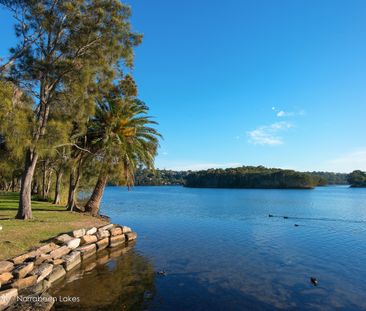 4/20 Waterloo Street, Narrabeen NSW 2101 - Studio For Rent | Domain - Photo 4