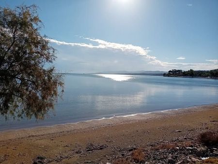 Μονοκατοικία για ενοικίαση Παραλία Αυλίδας (Αυλίδα) - Φωτογραφία 4