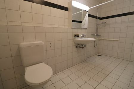 Grosszügige, helle 2 1/2 Zimmer-Wohnung in Riehen zu vermieten - Photo 5