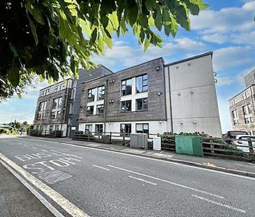 Plymbridge Lane, Plymouth - Photo 3