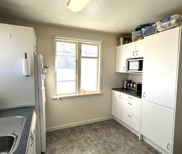 Central Tahunanui Living - With Beach Close By - Photo 4